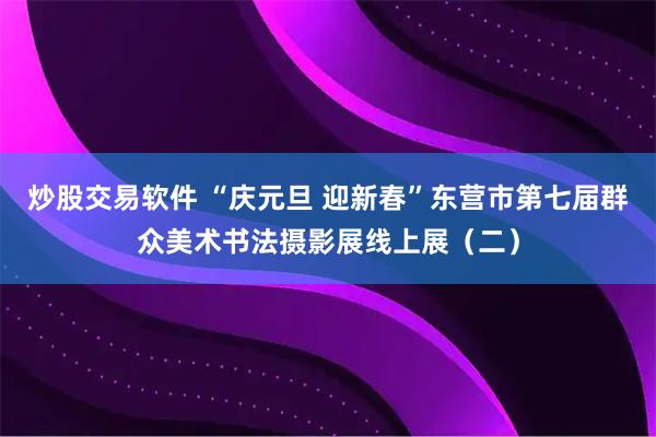 炒股交易软件 “庆元旦 迎新春”东营市第七届群众美术书法摄影展线上展（二）