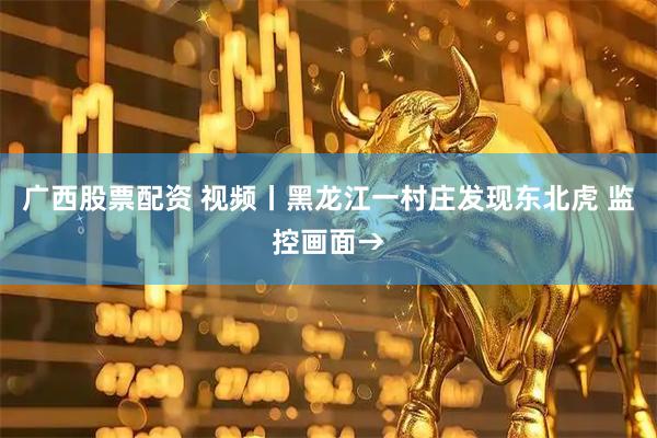 广西股票配资 视频丨黑龙江一村庄发现东北虎 监控画面→